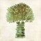 Broccoli Poster Print by Kristin Emery - Item # VARPDXKESQ068